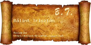 Bálint Trisztán névjegykártya